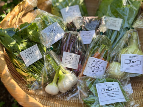 ふたばたけ　畑から直送！　農薬不使用！　旬のこだわり野菜セット　７～１０種類