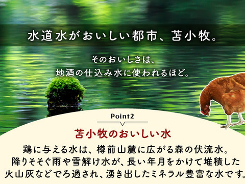訳あり平飼い卵30個(たまごトレー)