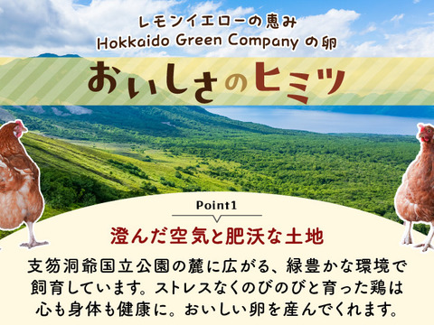 訳あり平飼い卵30個(たまごトレー)