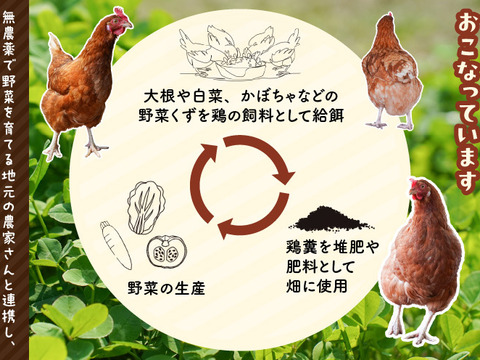 訳あり平飼い卵30個(たまごトレー)