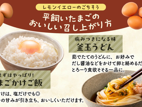 訳あり平飼い卵30個(たまごトレー)