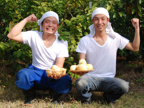 苦みや渋みがなく上品でやさしい味と好評♪【有機土佐國グァバ茶】ノンカフェイン高知県南国市の有機認証自家農園で農薬・肥料・除草剤一切不使用で自然栽培‼植物由来のソイロンテトラティーバッグ♪30包入×2個