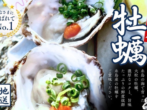 三倍体牡蠣 中サイズ 約60g～80g×10個 糸島 深江産 牡蠣
