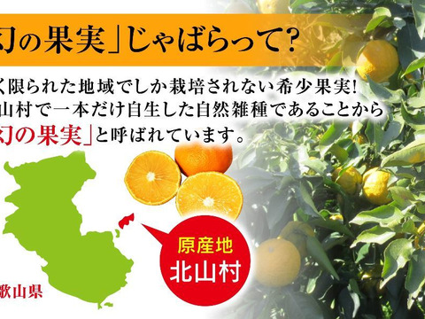 【12月下旬～1月下旬頃まで】紀伊路屋 和歌山有田産 じゃばら果実 お試し 1.5kg