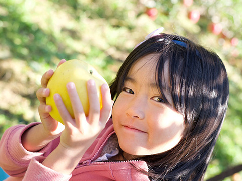 【2022年9月下旬より順次発送】信州名月オバステりんご（贈答用秋映）約5kg