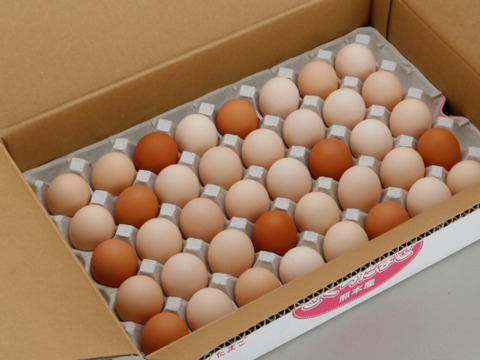 【通年冷蔵便専用】ぷりっと新鮮♪安心たまご！さくらたまごM45個入（破損補償10個含む） 食べチョク 【熨斗対応可】