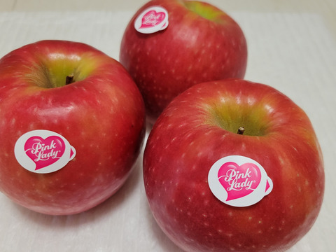 年内予約終わります🍎 ピンクレディ®︎3キロ箱  長野県 信州 安曇野 リンゴ 幻 幻のリンゴ 予約 希少 旬 6玉〜16玉サイズ 商品ID42100 ピンクレディー