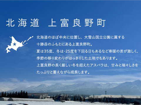 【北海道 上富良野産】北海道・上富良野産｜春だけの極太グリーンアスパラ3Lサイズ 800g【甘みと旨みたっぷり】🏆2024年通販発送  約3,000件以上👑 しまねずみファームのフラノラルム