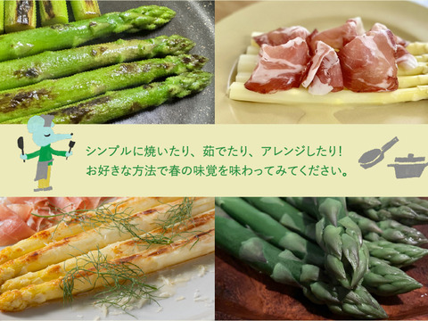 【北海道 上富良野産】2種類を食べ比べ♪ホワイト＆グリーンアスパラガス 2L800g【春芽】🏆2024年通販発送  約3,000件以上👑 しまねずみファームのフラノラルム