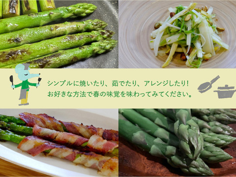 【春の至福】口の中で甘さが弾ける！極太2Lサイズ　アスパラ400g｜北海道上富良野産・雪解けの恵み✨通販サイト年間4500件以上販売👑✨フラノラルム【春芽】