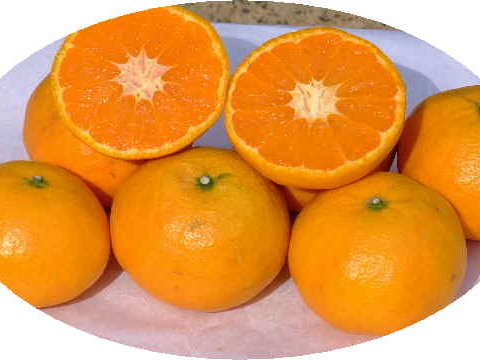 濃厚果汁！南津海（なつみ）優品3Kg