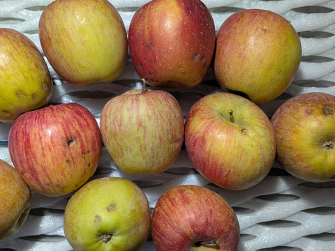 完熟柿とリンゴ