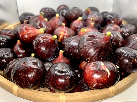 フランスの黒イチジク「ビオレソリエス」300g