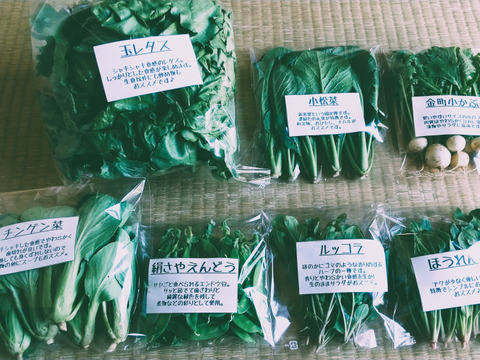 【自然栽培】【7種】南信州/飯田から旬の野菜セット　Sサイズ