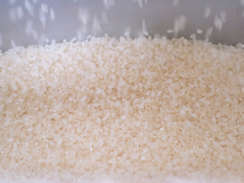 【令和7年新米】白馬村産新米 あきたこまち 10kg｜ふんわり、やさしい甘み（数量限定）