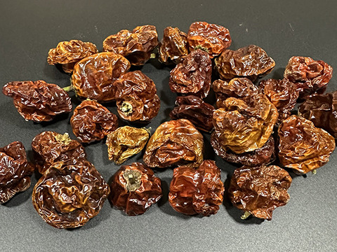 【乾燥唐辛子】我慢できそうな辛さ！国産スコッチボネット（約20g）農薬・化学肥料不使