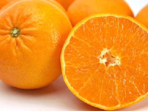 【数量限定☆希少の柑橘🎁】甘さいっぱい！高い糖度、強い香り！(麗紅)れいこう 2㎏🍊