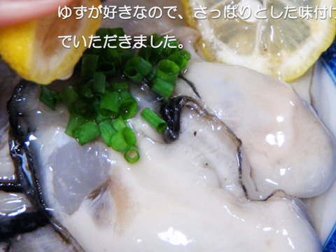鍛え牡蠣　期間限定価格★  旬です 今食べたい 広島牡蠣老舗の味！