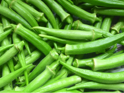 グリ－ンパワーで夏を楽しく！
ゴーヤ 5本　オクラ500ｇ　きゅうり500g～農薬/化学肥料・不使用