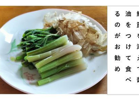 アイコ  シャキッ！トロッと美味しい山菜＜約800g＞（あいこ/ミヤマイラクサ）