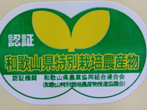 【樹上完熟】ゆら早生みかん５kg 和歌山県下津産直 農薬節減率67% Ｂ級【特別栽培認証】