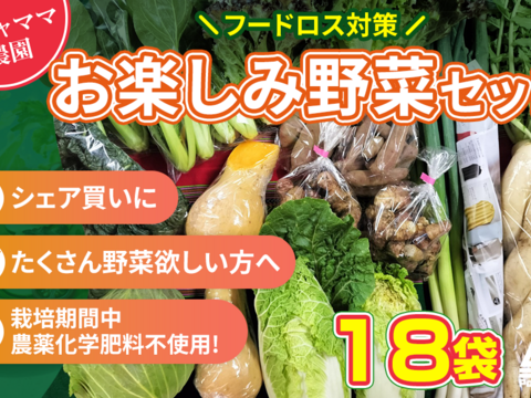 お楽しみ★農園自慢の情熱野菜セット　18袋　発送タイミングおまかせ　フードロス対策　パチャママ農園