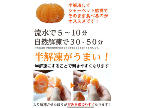 愛媛県産　冷凍みかん　1キロ