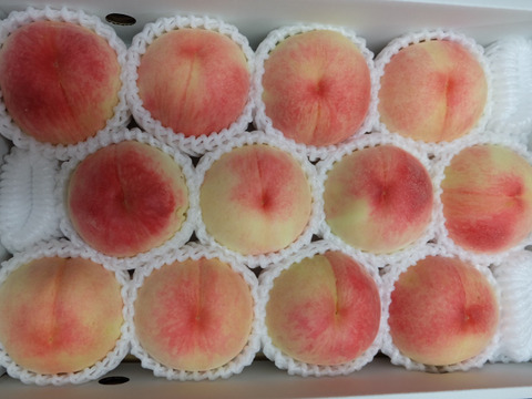 【早期予約特典】あら川の桃 品種おまかせ 大箱(10～15玉)