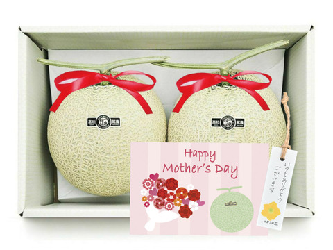 【母の日ギフト】2玉箱入りマスクメロン