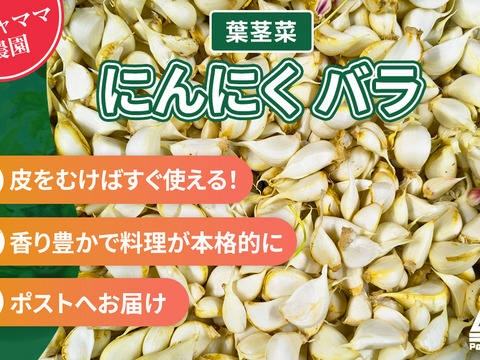 埼玉県産 にんにく 5キロ にんにくバラ 300g☆にんにく4-5個分 クリックポスト発送：茨城県産の