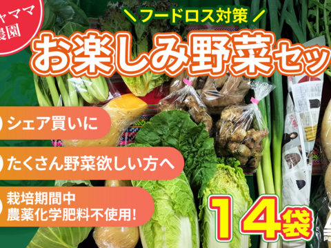 お楽しみ★農園自慢の情熱野菜セット　14袋　発送タイミングおまかせ　フードロス対策　パチャママ農園