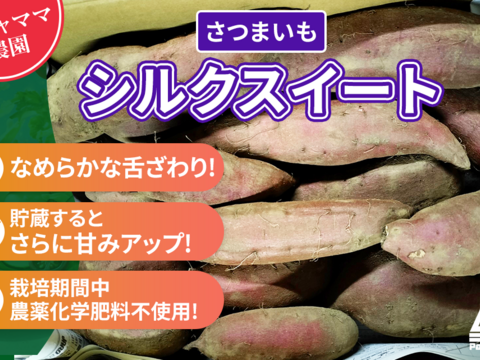 さつまいも　シルクスイート　4.5ｋｇ
