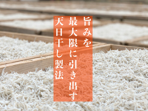 綱元漁師のファミリーパック定期便 ３人前程詰め合わせ