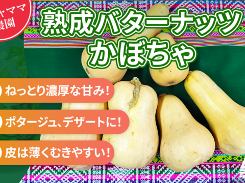 熟成★バターナッツかぼちゃ　4ｋｇ