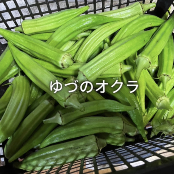 ゆづのおくら