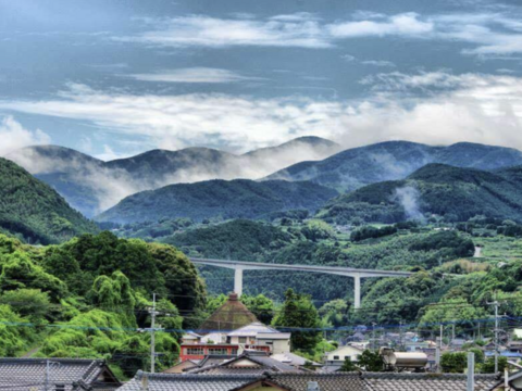 【森のアスパラ】ジューシーな佐賀県産！調理しやすいM~Lサイズ・1kg