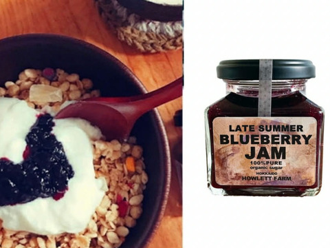 晩生品種のブルーベリージャム【華やかな香りのプレミアムジャム】※まとめ買い対応