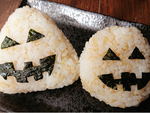 新米 コシヒカリ 玄米 真空パック５ｋｇ