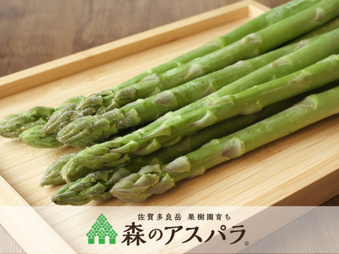 【森のアスパラ】ジューシーな佐賀県産！調理しやすいM~Lサイズ・600g