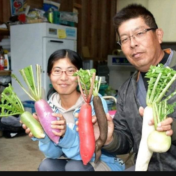 オモシロ野菜生産所　田村農産