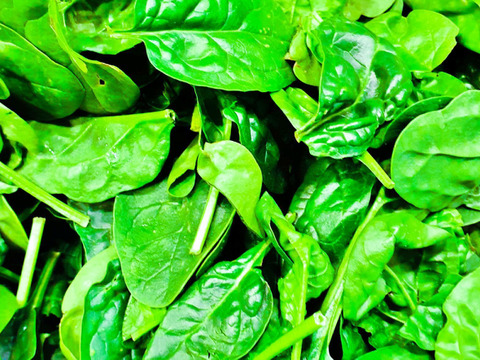 【🎄Xmas限定☆彡2～3人様セット🎁】たくさんの種類！ちょうどいい量！お料理好きの野菜詰め合せ🥗