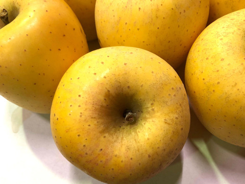 【りんご】幸せの黄色いりんご「はるか3ｋｇ」