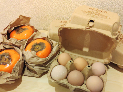［平飼い 卵 24個セット］名古屋コーチン  223EGG たまご
