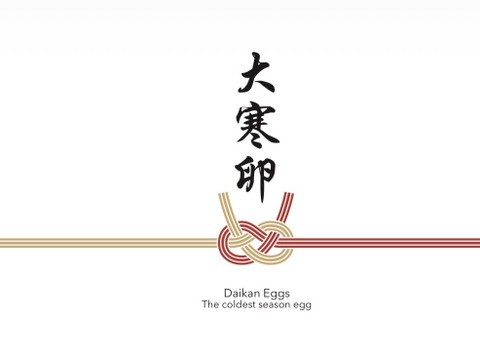 〔予約 限定！〕【大寒卵】【『究極の玉子かけご飯』のための玉子 🥚】"コーチン種🐓” 24個-6個入り4パック - 平飼有精卵の『島たまご』！たまごのプリプリ感が凄い！！