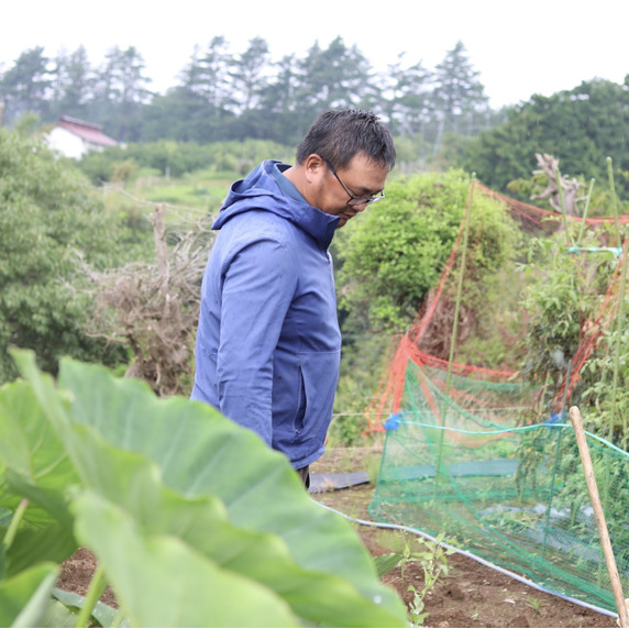 おもしろ野菜研究所