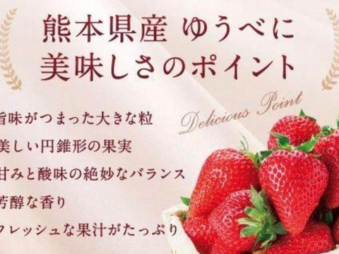 シモンズグランドセール クール便】農家直送^^完熟いちご!!ゆうべに：熊本県産のゆうべに 果物