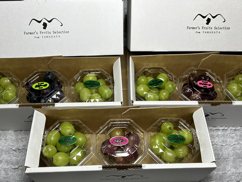 お楽しみぶどう粒200gx3パック詰めシャインマスカット☆ピオーネ☆ゴルビー☆マイハート【訳ありご家庭用】