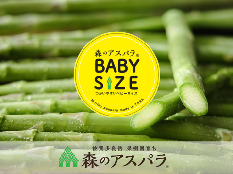 【森のアスパラ】便利で大好評！そのまま使えるベビーサイズ（S~M）・600g