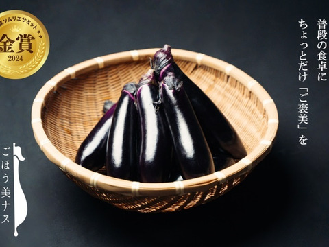 【2025年福袋】野菜ソムリエサミット『金賞』ごほう美ナス（50％増量　約1.5kg、ナス13－15本）
