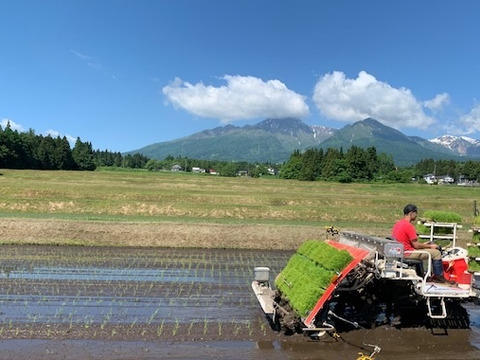 有機たっぷり！妙高産コシヒカリ特上特別米（5㎏）